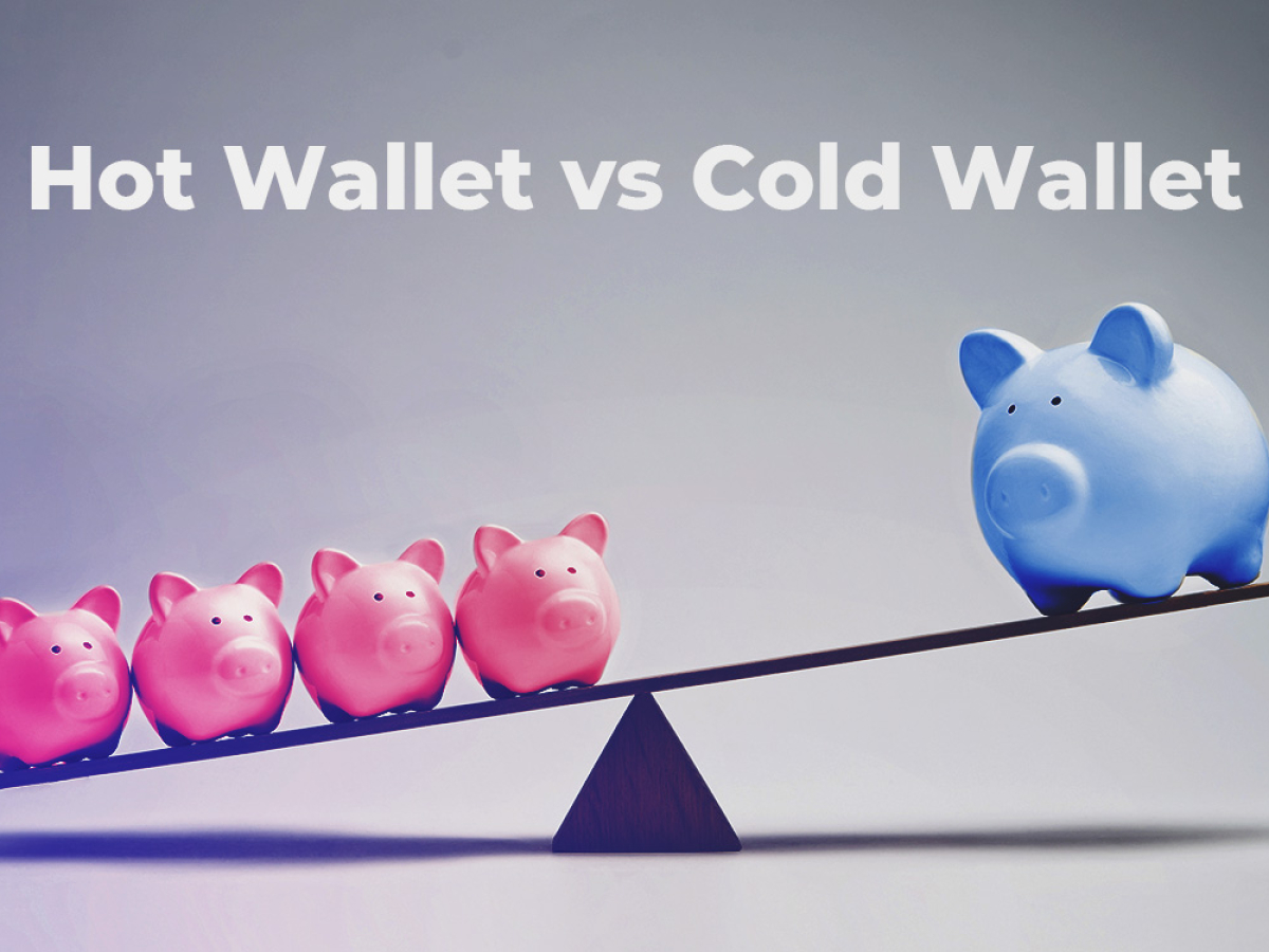 Hot Wallet vs. Cold Wallet: What the Different Storage ...